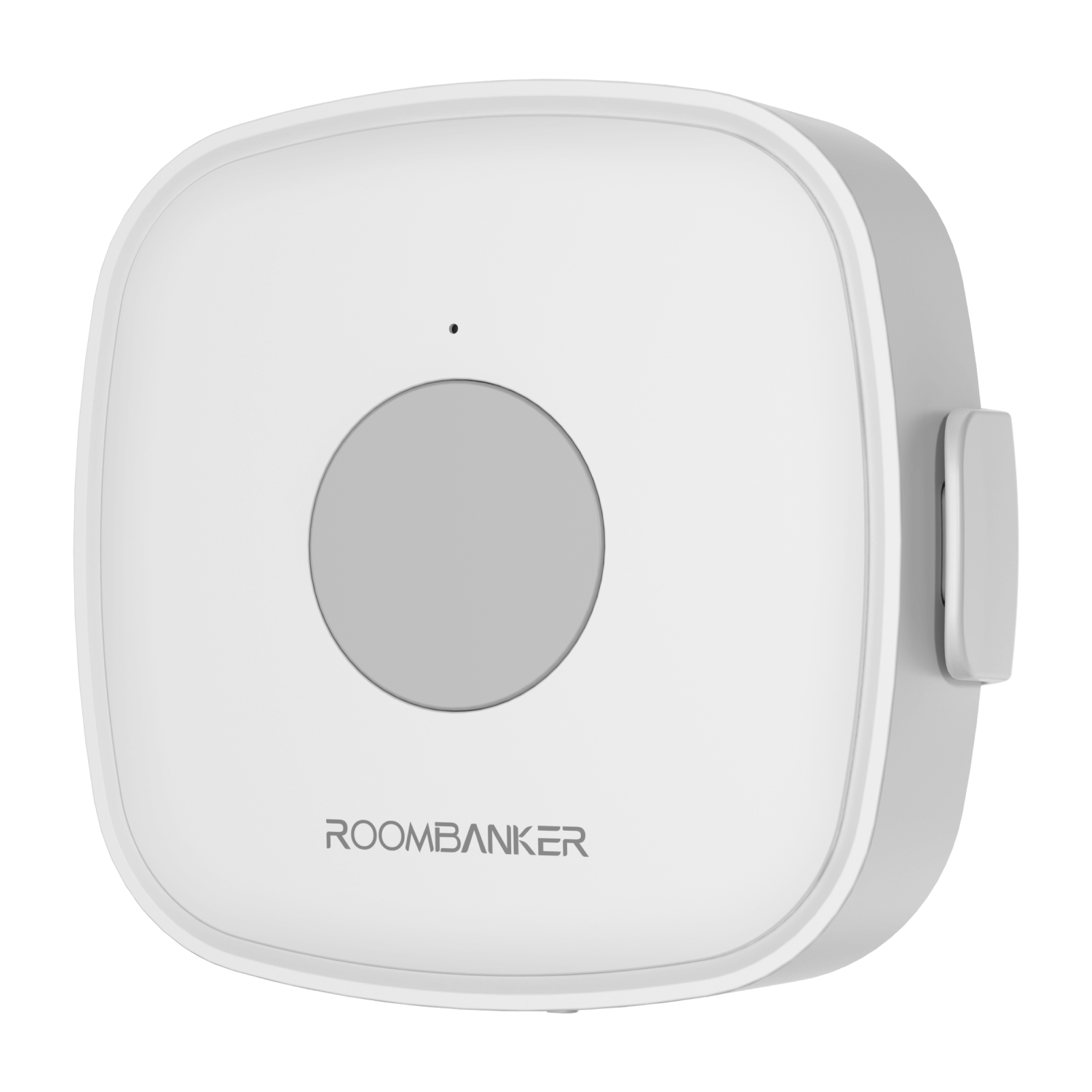 Water Leak Detector: Precision Monitoring, IP66, Hub Required