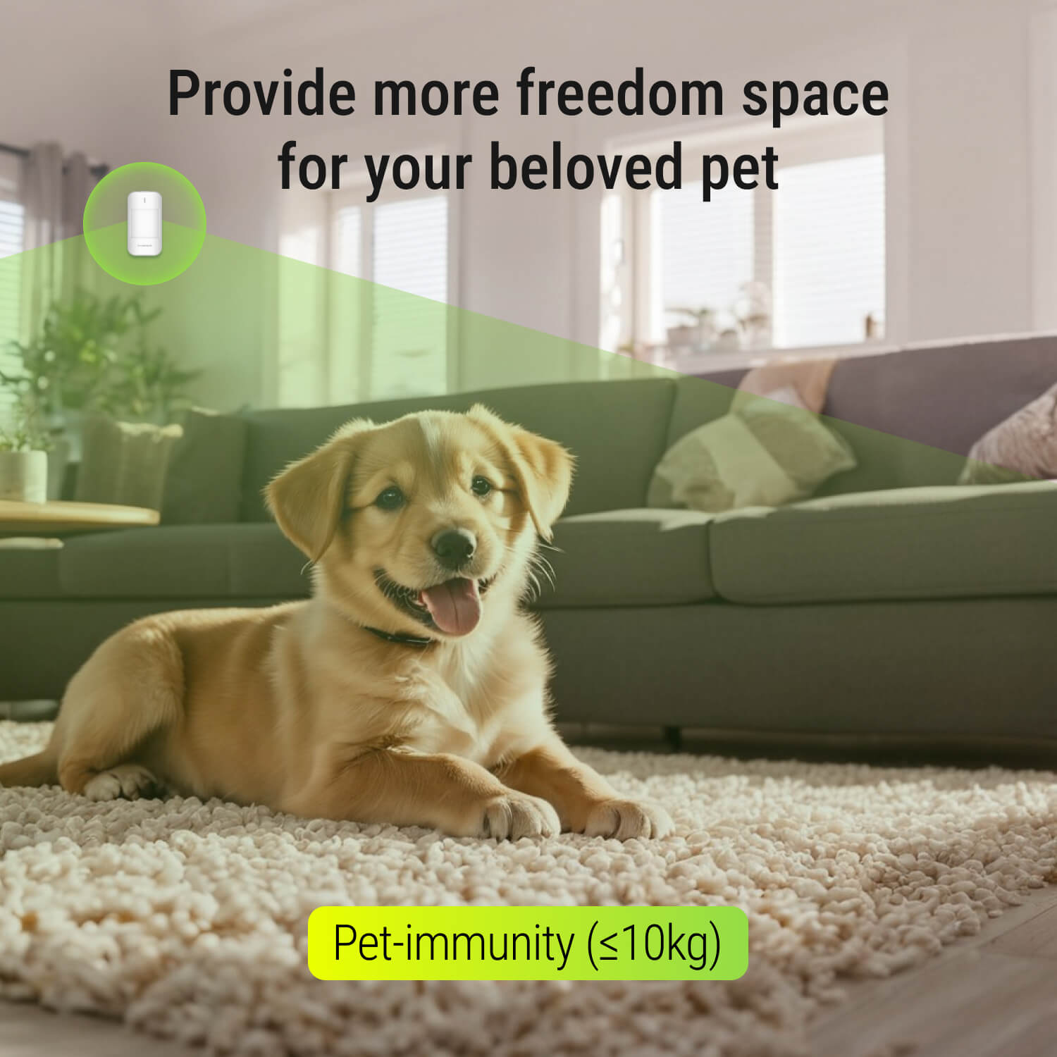 PIR Sensor - Long-Range Detection with AES Encryption, Requires Roombanker Security Hub